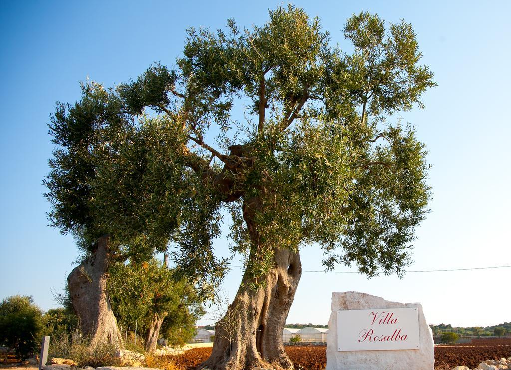 Villa Rosalba Polignano a Mare Buitenkant foto